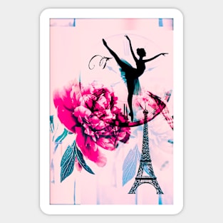 Paris,pink, ballerina Sticker